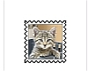 cat stamp