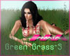 !@T! Green GRASS-S