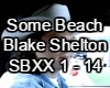 Some Beach Blake Shelton