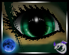 St Pats 26 Eyes M/F