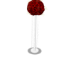 Q - ANIMATED ROSES