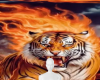 Furious tiger background