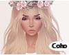 Luthy Cool