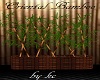 KC~Orient Bamboo Planter
