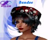 SANDEE  NEBULA