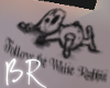 [BR] White Rabbit