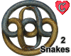 Snakes AurynQuest