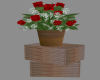 Old Country Roses Crates