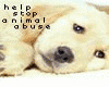 stop animal animal abuse