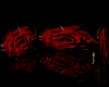 RED ROSE OF LOVE ROOM