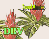 SM/Animated Flowers/DRV
