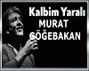 KALBIM YARALI -KLB1--10