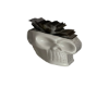 White Skull Succulent