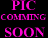PLUM PHD TANK  TOP F