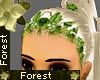 Forest Elven Ivy