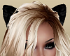 Black Cat Ears