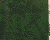 Ⓚ Grass HD