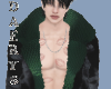 VSA T