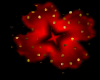 RedBlack Flower Ring R