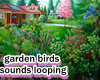 Birds in Garden sound