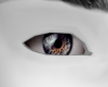 Lex Grey Eyes