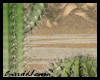[E]* Cactus Background