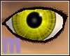Aviricious Eyes