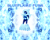 BlueFlameBackFur(F)