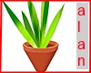 green plant pot DER