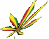 Marijuana Color Leaf