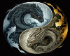 Dragon Yin and Yang