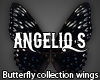 Butterfly wings #11