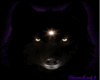 Black Wolf Fur Bed
