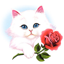 Kitten with a Rose