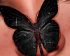 Animated Butterfly