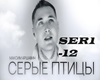 M.Arshavin Serye ptidcy