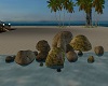 Paradise Beach Rocks