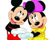 Mickey&Minnie couple M