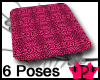 *P* Pink Pose Blanket