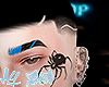 Ay. Brows blue+black F