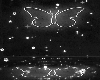 butterfly BG ʚɞ