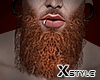 X►Beard Ps