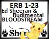 Rudimental- Bloodstream