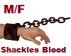 Horror Shackles Blood