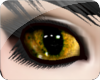Big Eyes - Golden