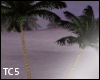 Animated palms