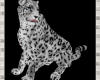 Snow Leopard Animated