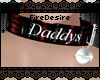 FD Daddys Bell Collar