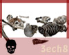 Skeleton Bones