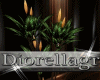 Di:Asha dec plant